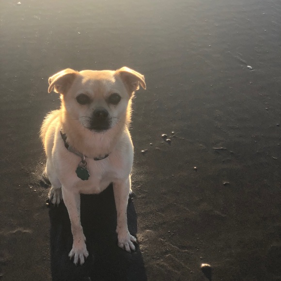 Meet your Posher, Roxana - Picture 5 of 5